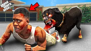 GTA 5 : I Got Attacked By Ultimate Dangerous Chop in GTA 5 ! (GTA 5 mods)