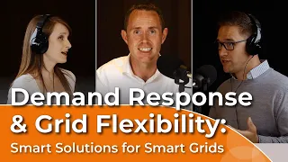 Demand Response & Grid Flexibility: Smart Solutions for Smart Grids | The Electricity Exchange