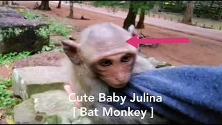 Very Adorable Baby!,Julina Baby Bat Monkey Keep Loving With Cameraman,Julina Is Pretty Girl Hairless