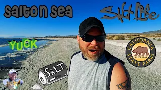 Salton Sea ~ 184ft Under Sea Level, Time Capsule Countdown 4 Years, & Tallest Old Glory