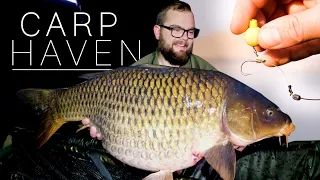 Carp Fishing for BIG CARP in South Africa at Carp HAven (New Personal Best Rig Explained)
