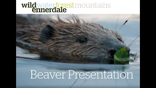 Wild Ennerdale Beaver Reintroduction Presentations