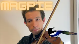 Magpie - Irish Fiddle Music! #shorts