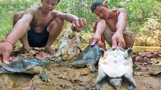 Best Videos Catch Turtle for Cooking Soup Recipe Eating Delicious in Forest