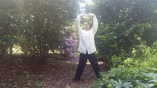 Ba Duan Jin / 8 Brocades Health Qigong