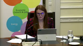 Committee for the Economy meeting Wednesday 3rd February 2021