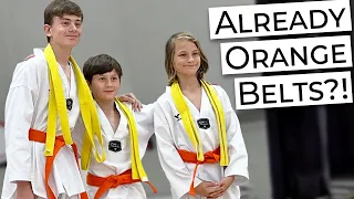 Already Orange Belts?! 🥋 Three Brothers Taekwondo