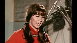 The Seekers   I'll Never Find Another You. Stereo