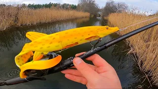 Fishing A pike Lure For canal MONSTER!