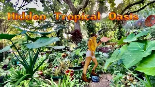 BACKYARD GARDEN| Old man TRANSFORMS yard into TROPICAL OASIS | HIDDEN in the woods| Tropical BIRDS