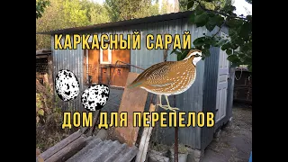 КАК ПОСТРОИТЬ ТЁПЛЫЙ САРАЙ |Каркасный сарай | Сарай для перепёлок