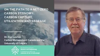 On the path to a net-zero carbon economy:carbon capture, utilization and storage