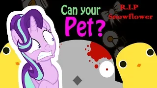Starlight Glimmer Plays Can Your Pet? (WHY)