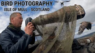 WILDLIFE | BIRD PHOTOGRAPHY - Isle of Mull Scotland | Loch Birds and Otters Pt 1
