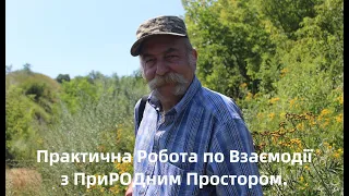 Аз ПА РИк 8 0867 Ілюзія #408 Практична Робота по Взаємодії з Природнім Простором.