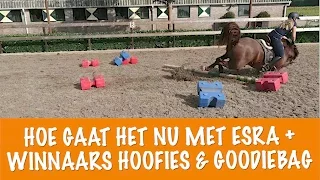 Hoe gaat het nu met Esra + Winnaars Goodiebag en Hoofies | PaardenpraatTV