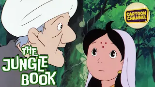 The Jungle Book // Episode 33 // Free Cartoons for Kids // Adventure Toons // Animated Series