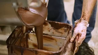 How Chocolate is Made