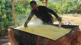 Cassava Processing to Garri in Bali Subdivision, Cameroon. Women in Agriculture. Part 1