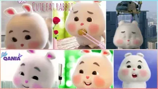 Qania and cute fat rabbit | Si embul kelinci lucu (all compilation)