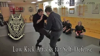 Kicks for Defense and Distraction - The Dojo Martial Arts