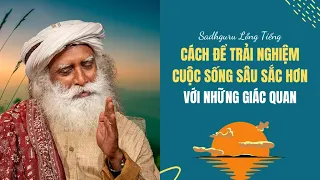 Làm Thế Nào Để Trải Nghiệm Cuộc Sống Sâu Sắc Hơn| Sadhguru Lồng Tiếng #180