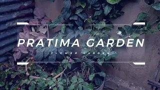 Flower Beds// Summer Garden Tour/ Pratima Garden