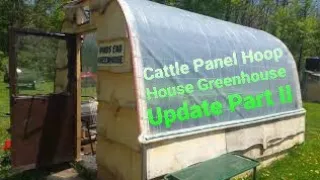 Part II Cattle Panel Hoop House Greenhouse in action