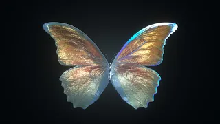 Butterfly - Live Wallpaper, 1 Hour Looping Background