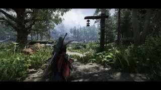 Skyrim SE Ultra Immersive Forests 2024 4K