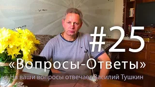 "Вопросы-Ответы", Выпуск #25 - Василий Тушкин отвечает на ваши вопросы