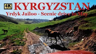 Yrdyk Jailoo - Scenic drive in May [4K]