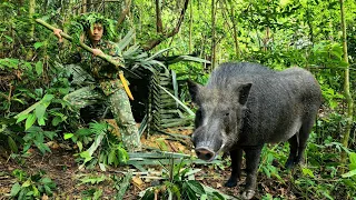Survive alone, spot wild boar, find snails in the forest, make food, survival instinct