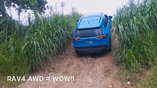 2019 RAV4 AWD in ACTION! Off-Roading in Puerto Rico!