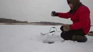 РЫБАЛКА НА БЕЗМОТЫЛКУ И ЖЕРЛИЦЫ В СПЯЩЕМ РЕЖИМЕ.