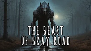 The Elusive Beast of Bray Road