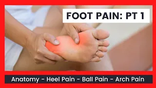 Foot Pain Pt1-Anatomy, Heel Pain!, Ball Pain! & Arch Pain!| FitHealth Pros