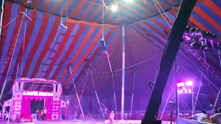 circus 8