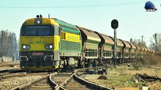Trenuri & Activitate Feroviară🚂Trains & Rail Activity in Gara Episcopia Bihor Station 28 March 2022