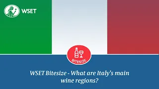 WSET Bitesize - What are Italy's main wine regions?