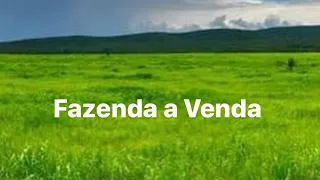 FAZENDA A VENDA EM RIBEIRÃO CASCALHEIRA 1.600 HECTARES DUPLA APTIDÃO INFORMAÇÕES NA DESCRIÇÃO.