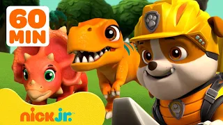 PAW Patrol Rubble Rescues Dinosaurs & Animals! w/ Chase & Rex | 1 Hour Compilation | Rubble & Crew