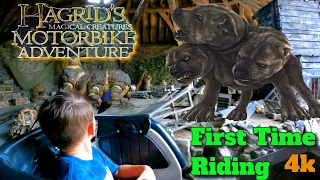hagrid's magical creatures - Hagrid’s magical creatures motorbike adventure pov 2021 4[k] reaction