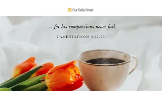 The Reboot of Grace | Audio Reading | Our Daily Bread Devotional | March 25, 2023