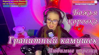 Божья коровка - Гранитный камушек 🐞💔