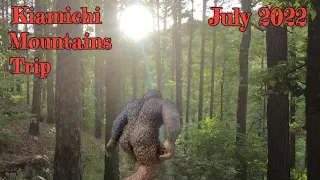 Kiamichi Bigfoot. Return to Research Area. July 2022.