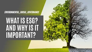 What Is ESG (Environment, Social, Governance) And Why Is It Important?