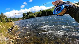 FLY FISHING! Catching BIG Brown Trout from 6" of Water! [watch till end]