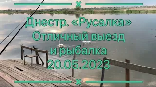 Днестр. «Русалка». Отличный выезд и рыбалка. 20.05.2023