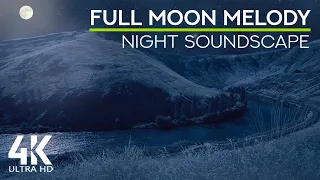 8 HRS Nighttime Ambience - Wild Nature Night Sounds - 4K Mountain River Under a Full Moon